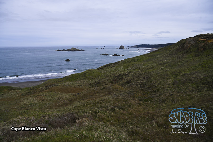 Cape Blanco Vista - Scenery