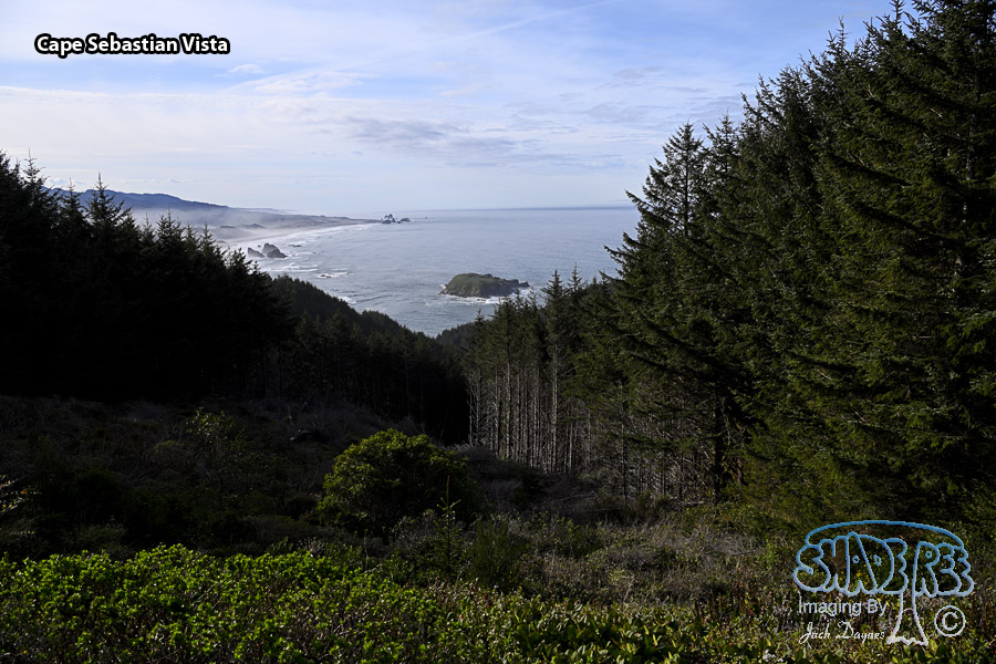 Cape Sebastian Vista - Scenery