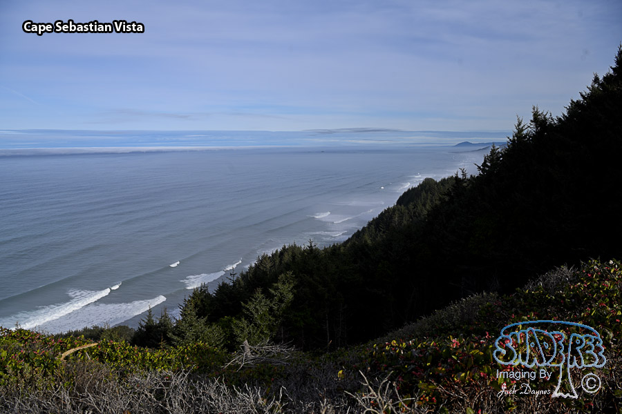 Cape Sebastian Vista - Scenery