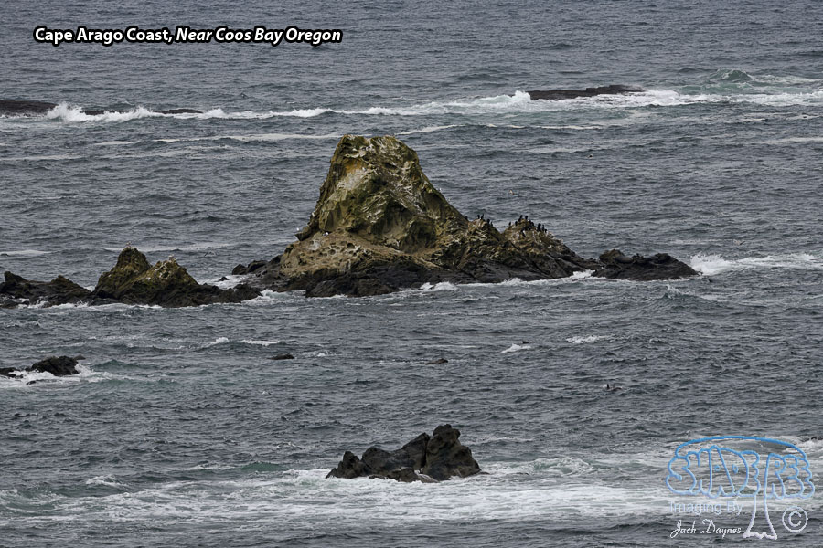 Cape Arago Coast - Scenery