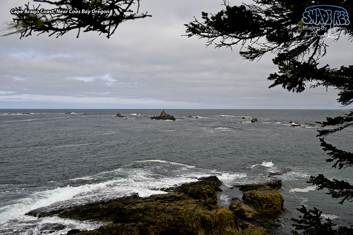 Cape Arago Coast - Scenery