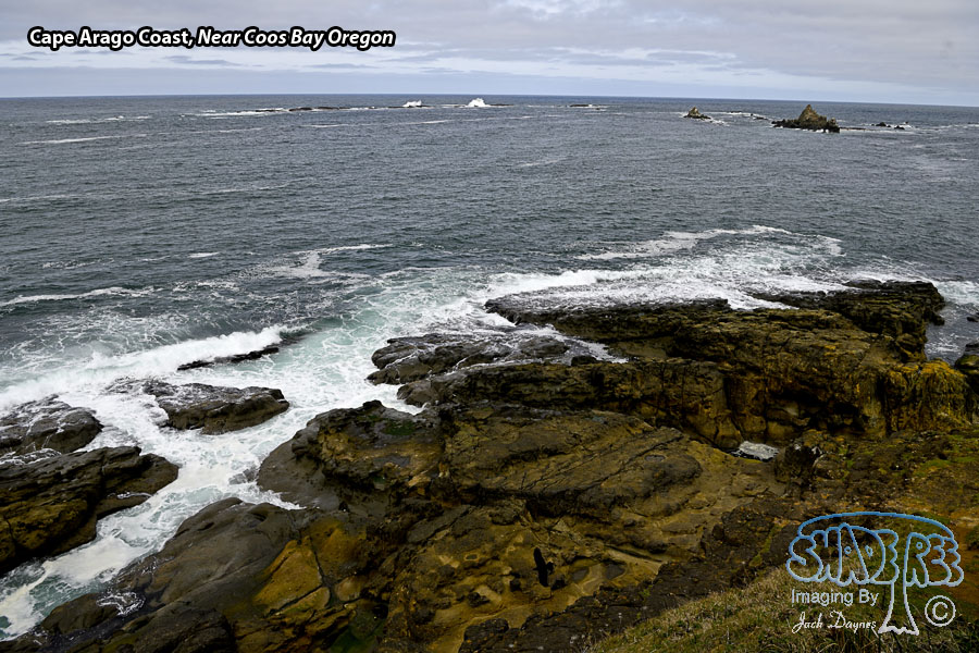 Cape Arago Coast - Scenery