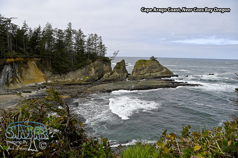 Cape Arago Coast - Scenery
