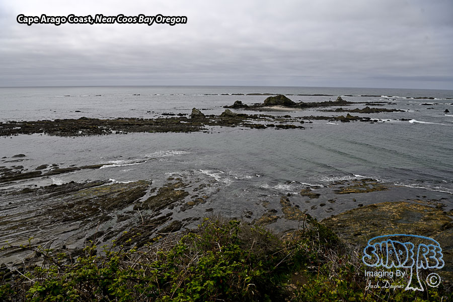 Cape Arago Coast - Scenery