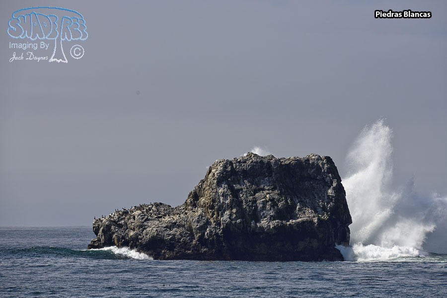 Piedras Blancas - Scenery