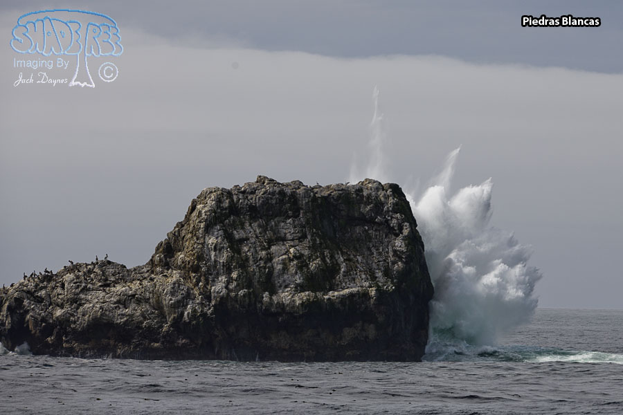 Piedras Blancas - Scenery