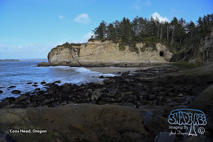 Coos Head - Scenery