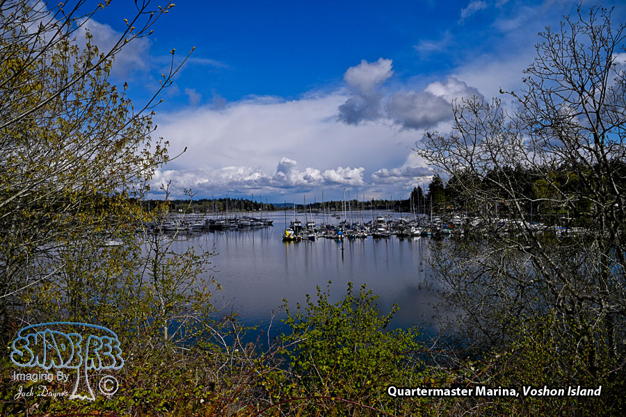 Quartermaster Marina - Scenery