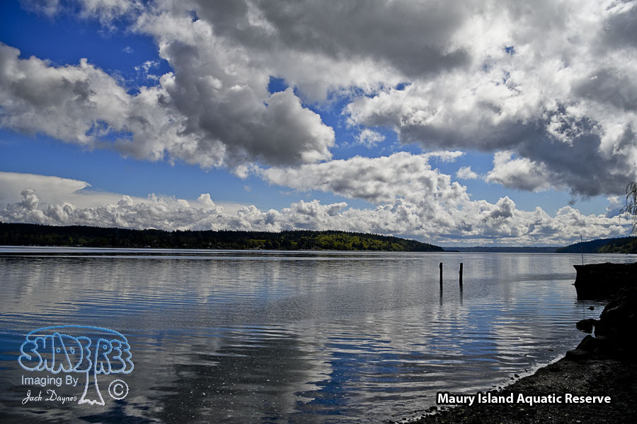 View of Maury Island - Scenery
