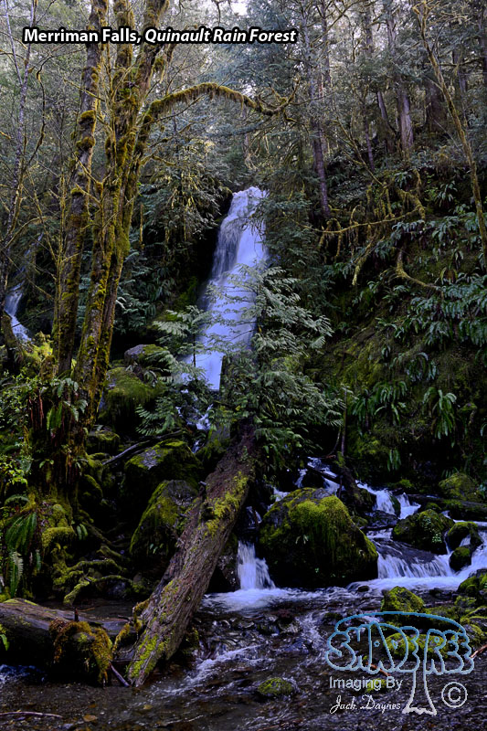 Merriman Falls - Scenery