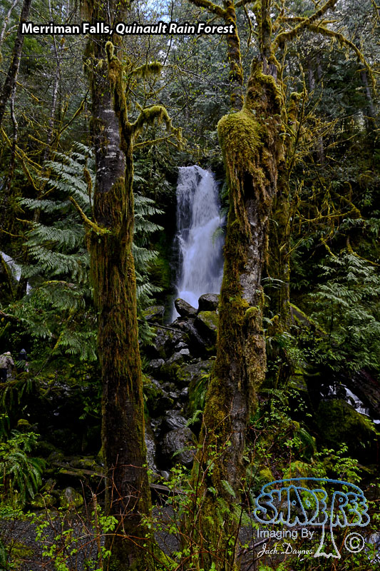 Merriman Falls - Scenery