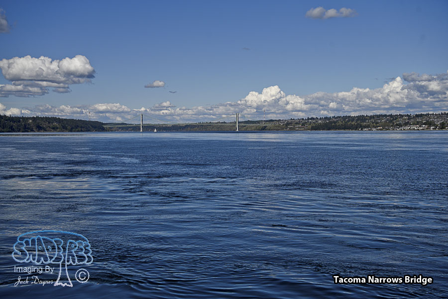 Tacoma Narrows Bridge - Scenery