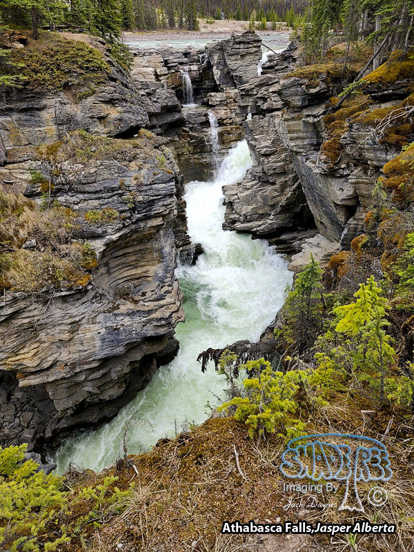 Athabasca Falls - Scenery