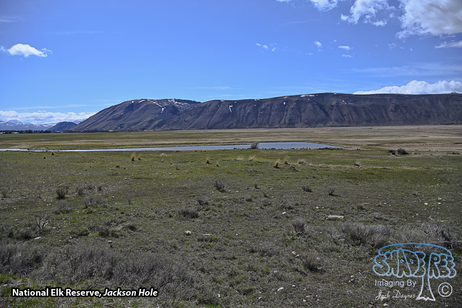 National Elk Reserve, Jackson Hole - Scenery
