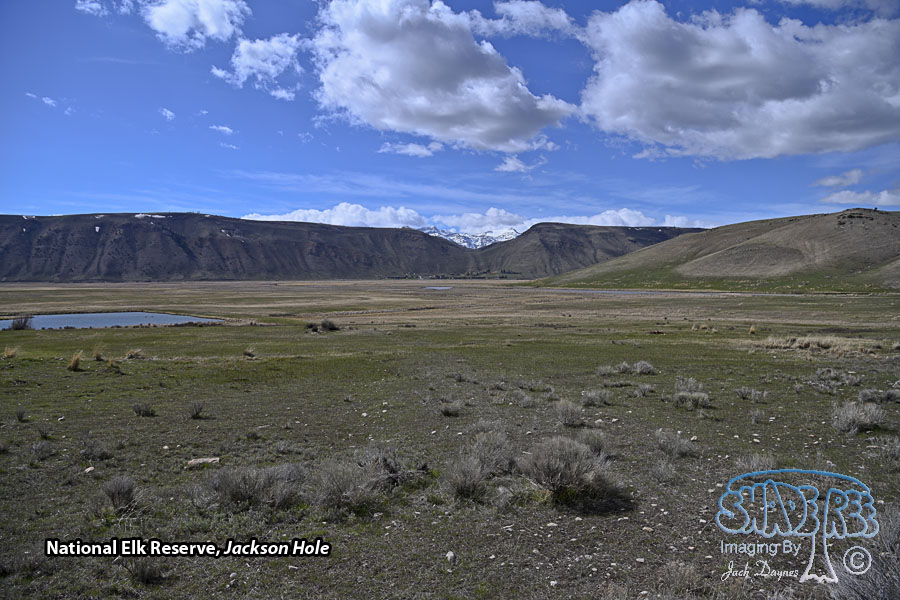 National Elk Reserve, Jackson Hole - Scenery