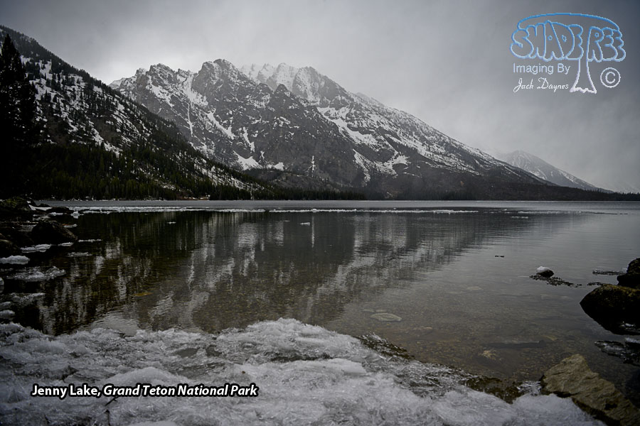 Jenny Lake - Scenery