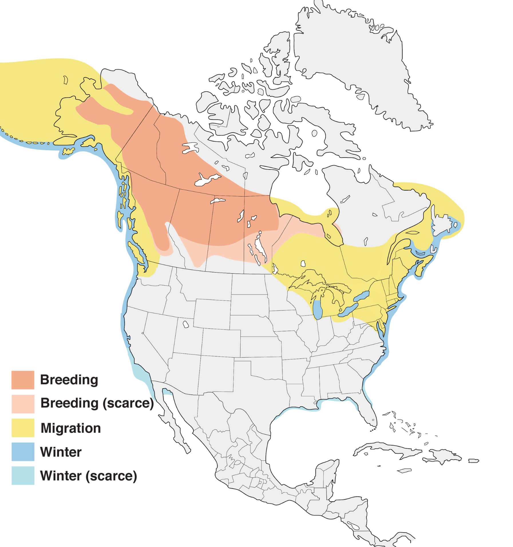 Range Map for White-Winged Scoter