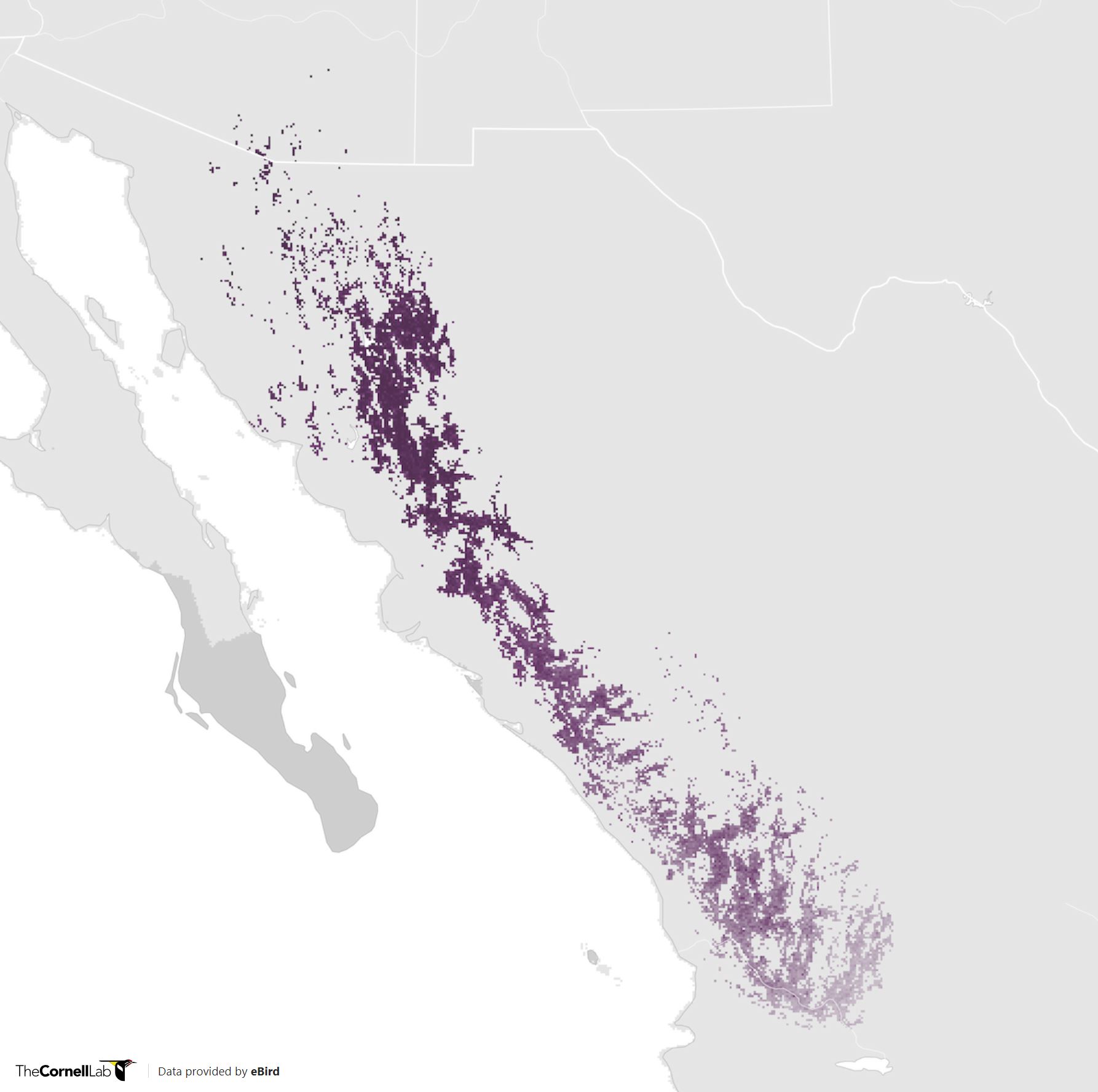 Range Map for Five-Striped Sparrow