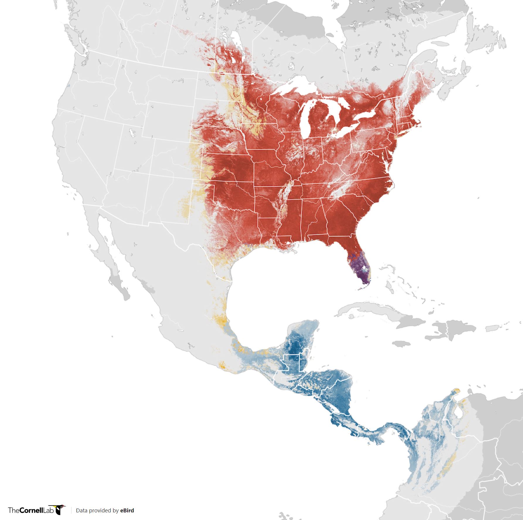 Range Map for Great Crested Flycatcher