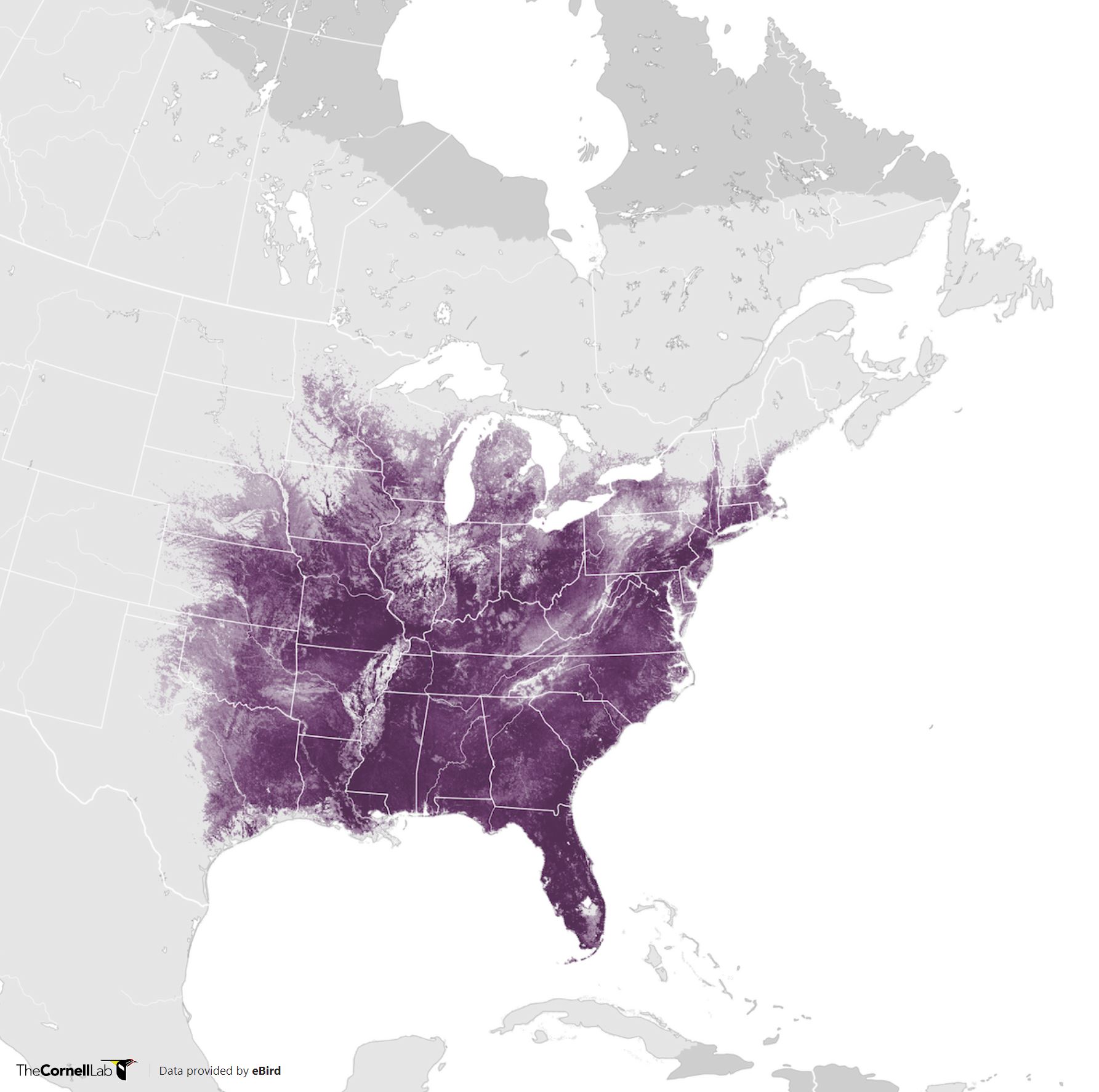 Range Map for Red-Bellied Woodpecker