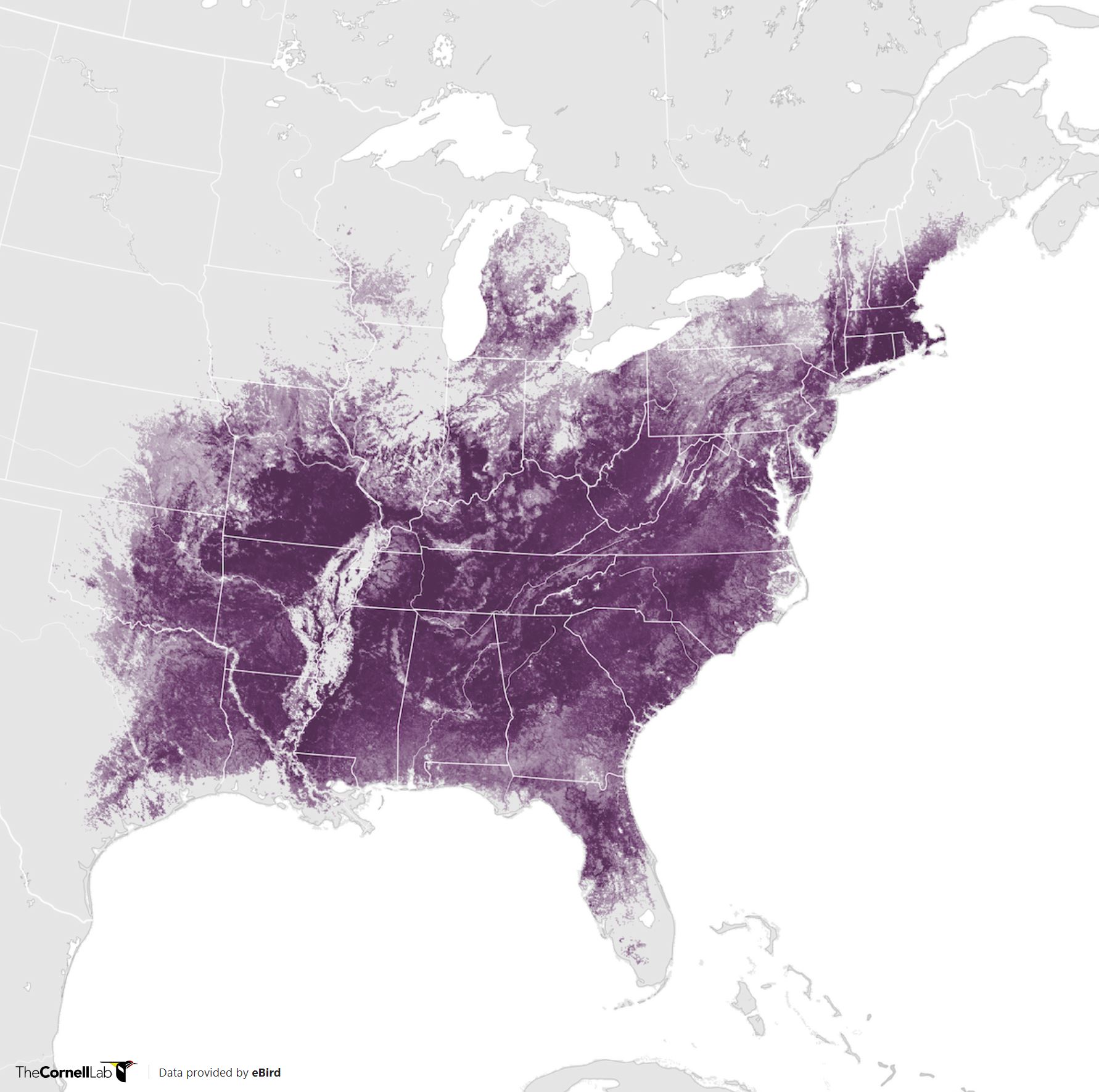 Range Map for Tufted Titmouse