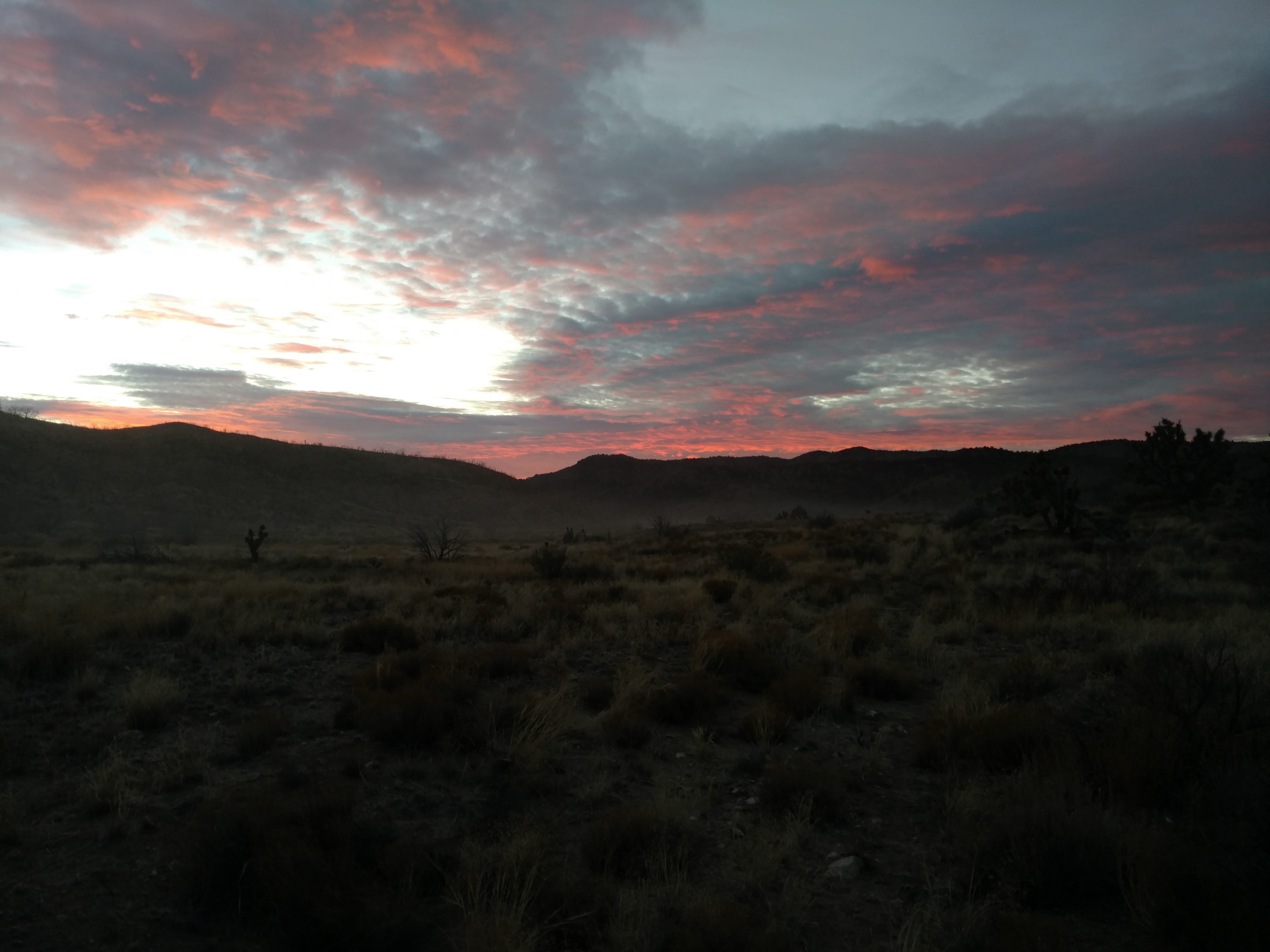 Scenes Around Camp - Scenery