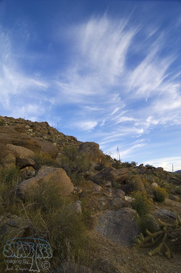 Little Blair Valley - Scenery