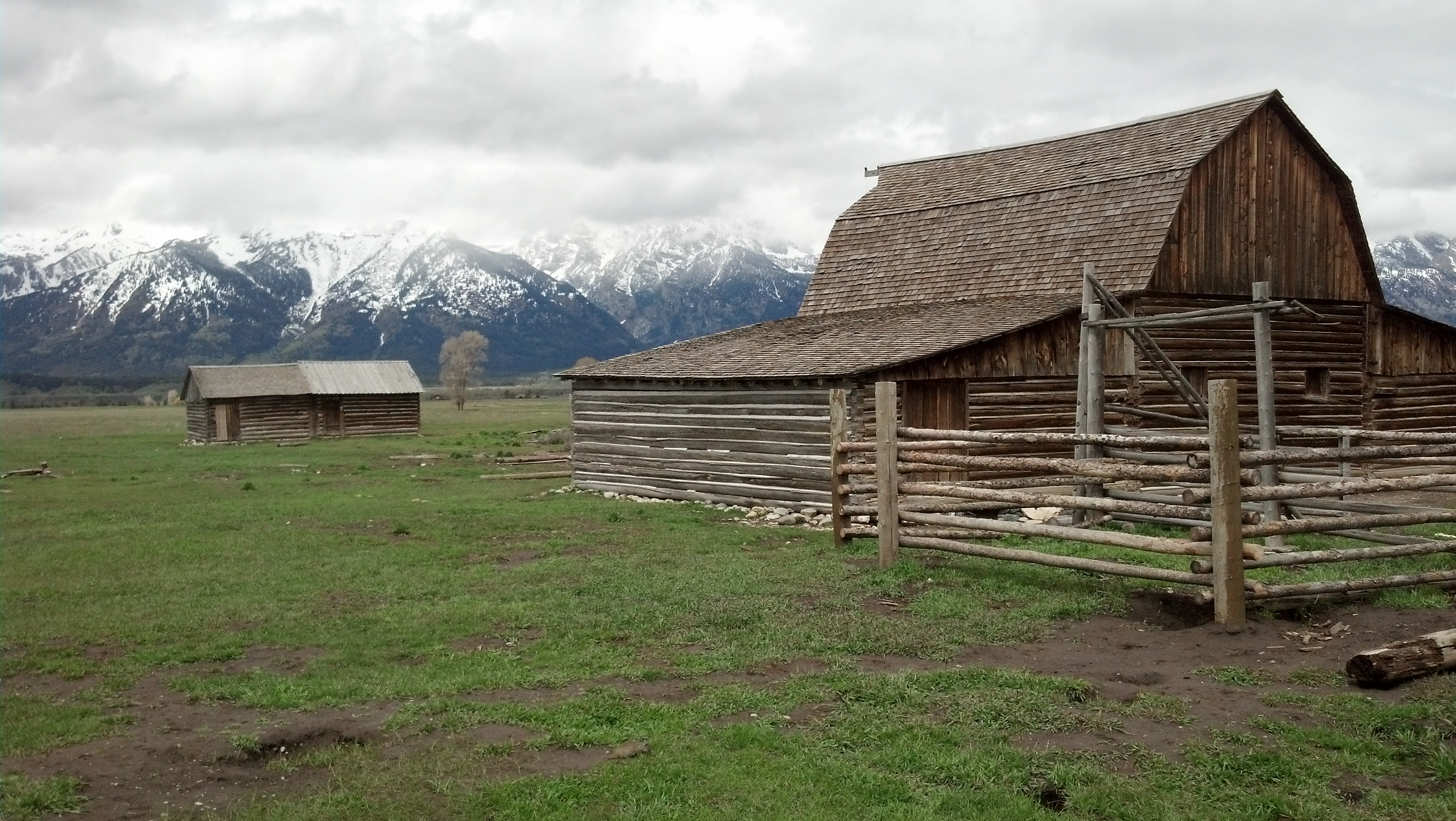 Mormon Row - Scenery