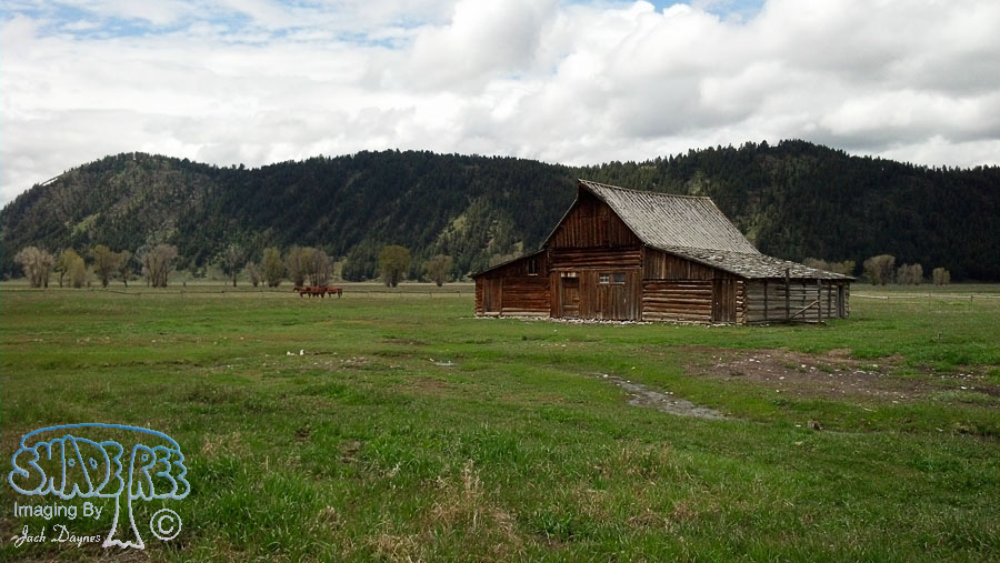 Mormon Row - Scenery