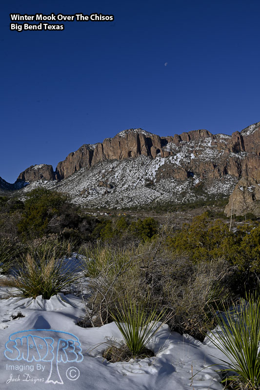 Winter Moon in the Chisos Mountains - Scenery