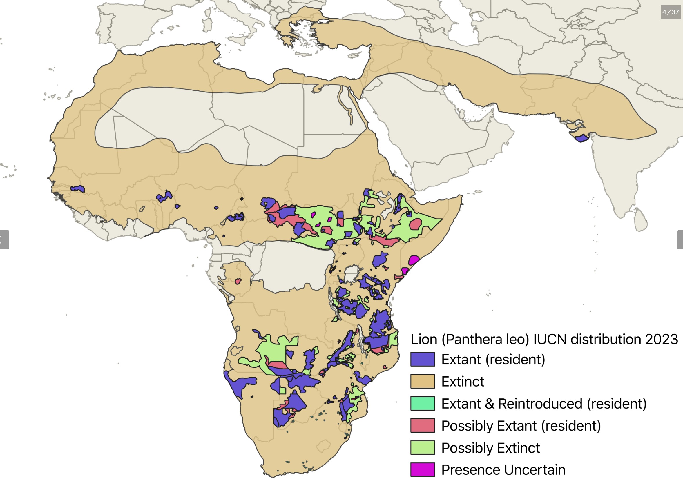 Range Map for African Lion
