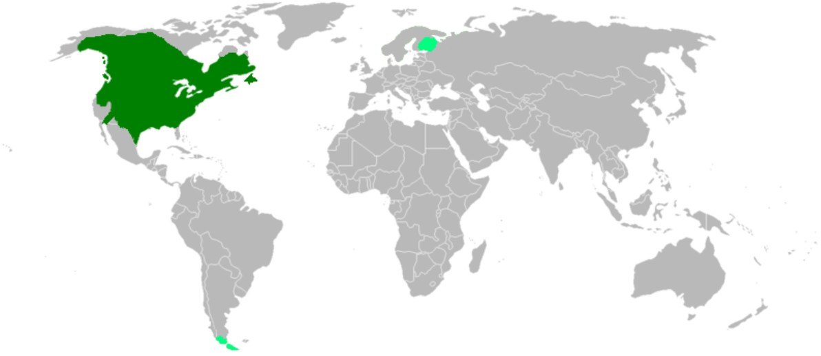 Range Map for American Beaver