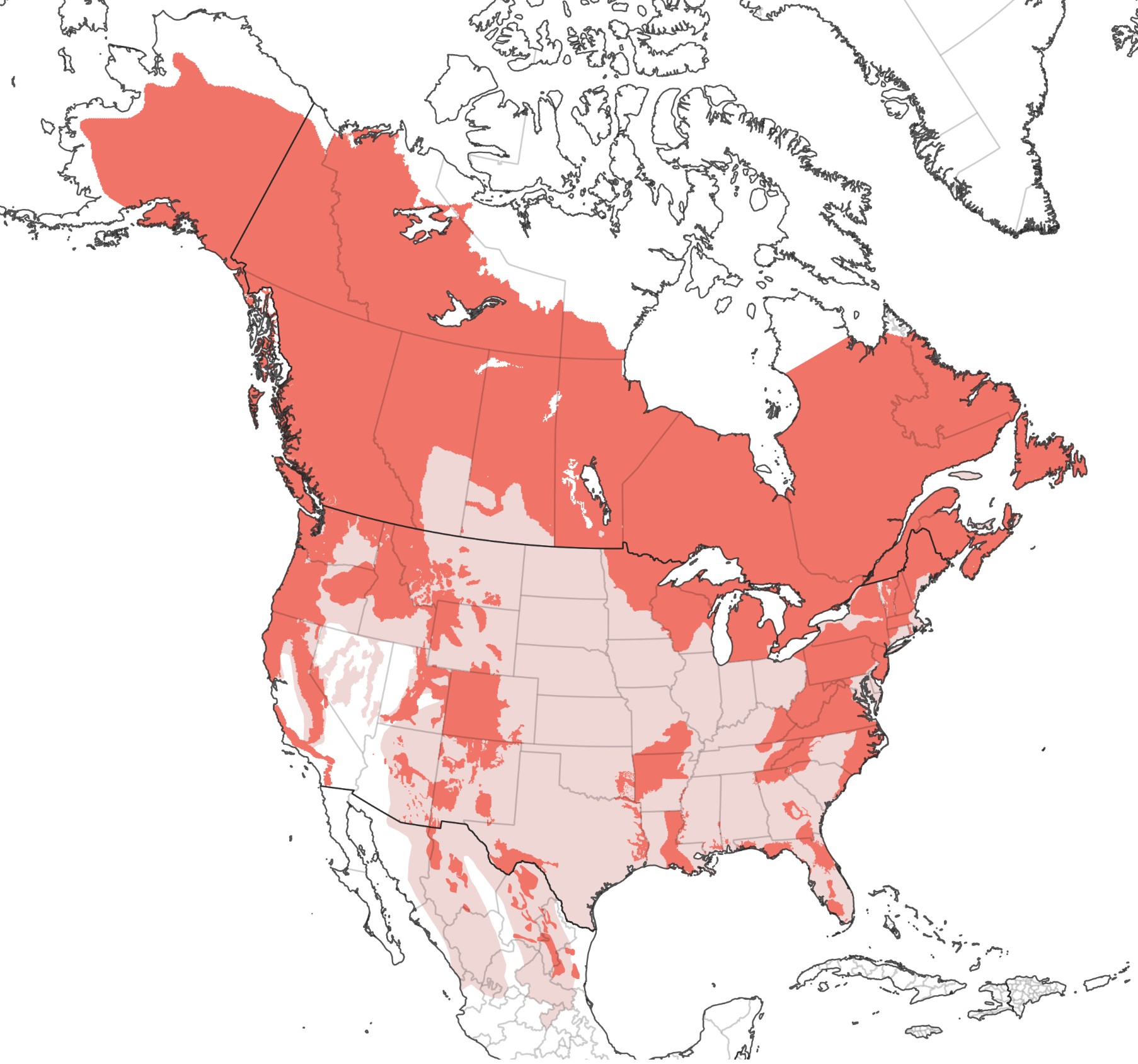 Range Map for American Black Bear