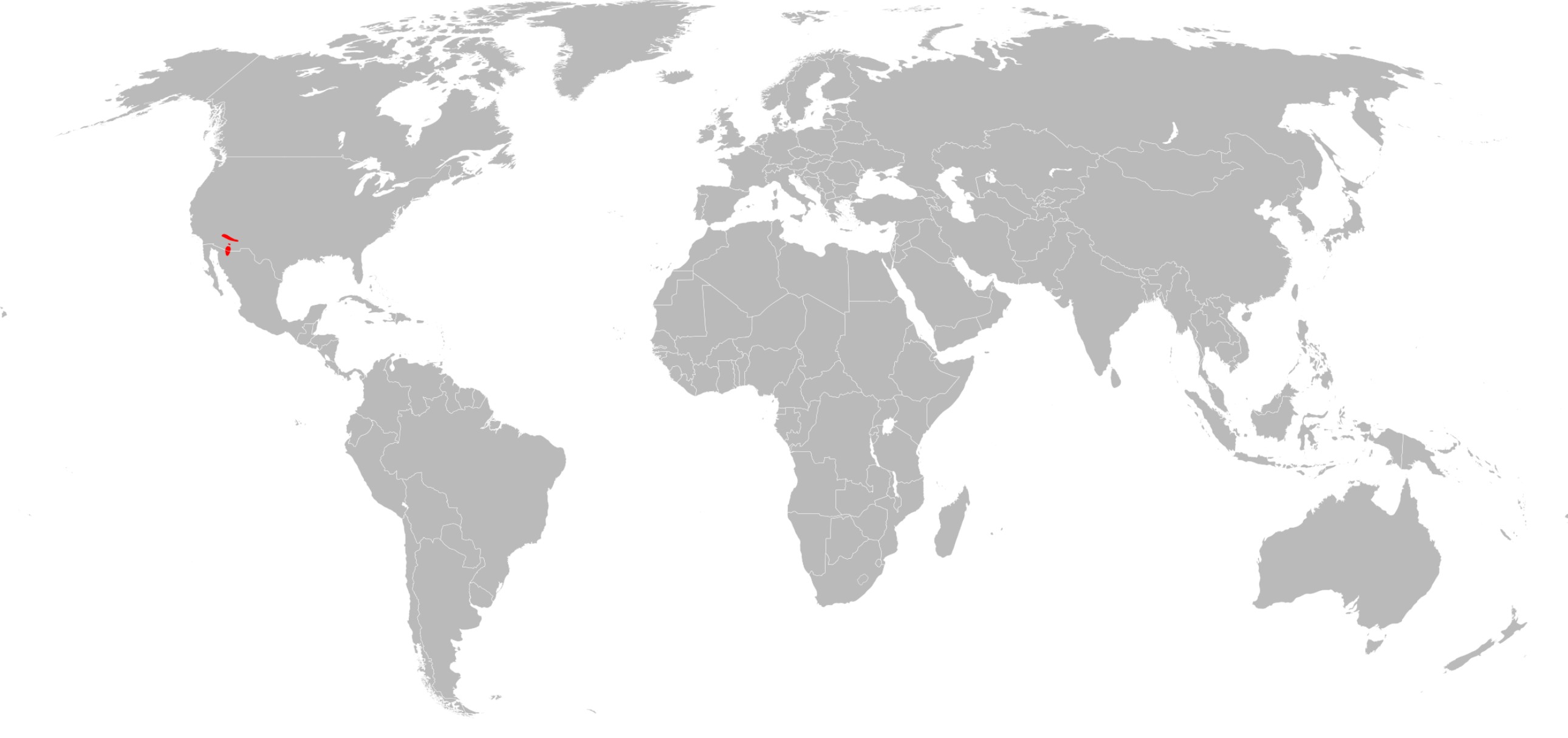 Range Map for Arizona Gray Squirrel