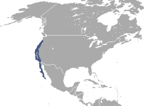 Range Map for Brush Rabbit
