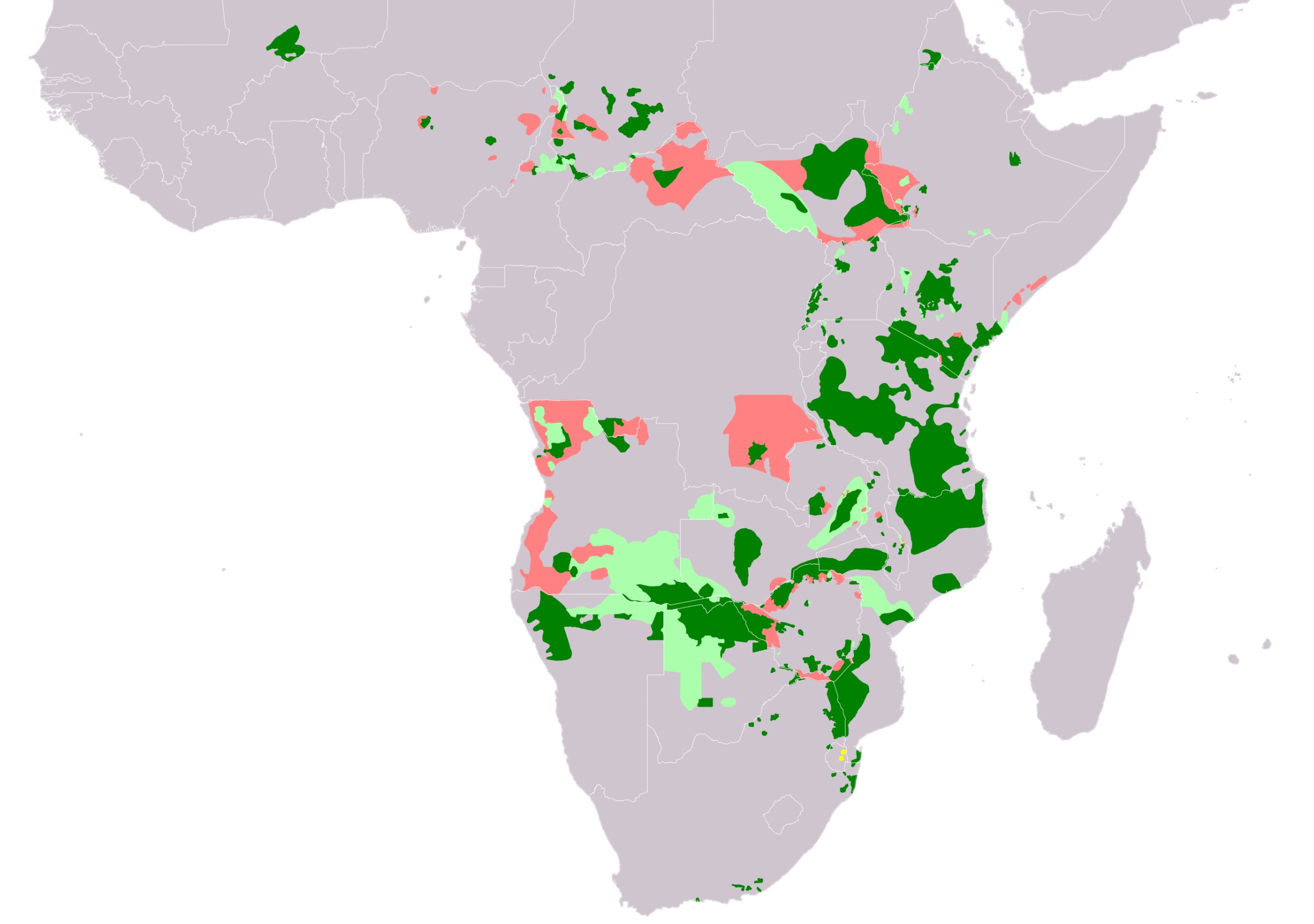 Range Map for Bush Elephant