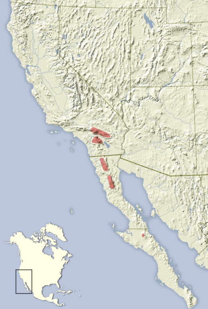 Range Map for California Chipmunk