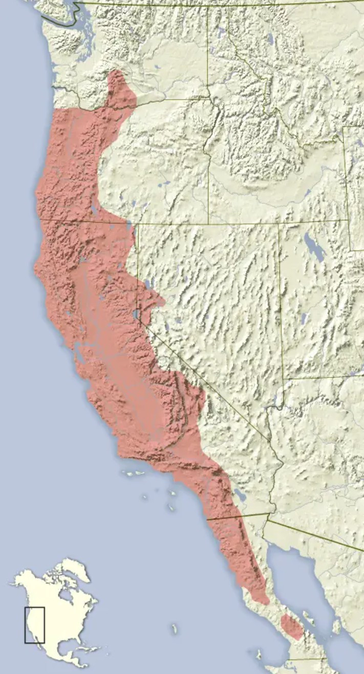 Range Map for California Ground Squirrel