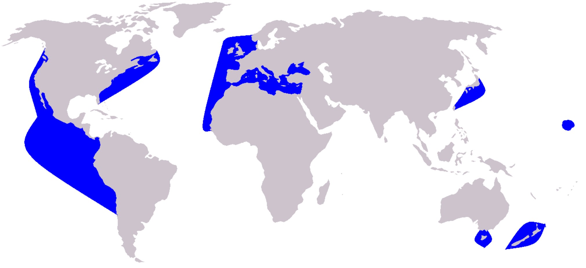 Range Map for Common Dolphin