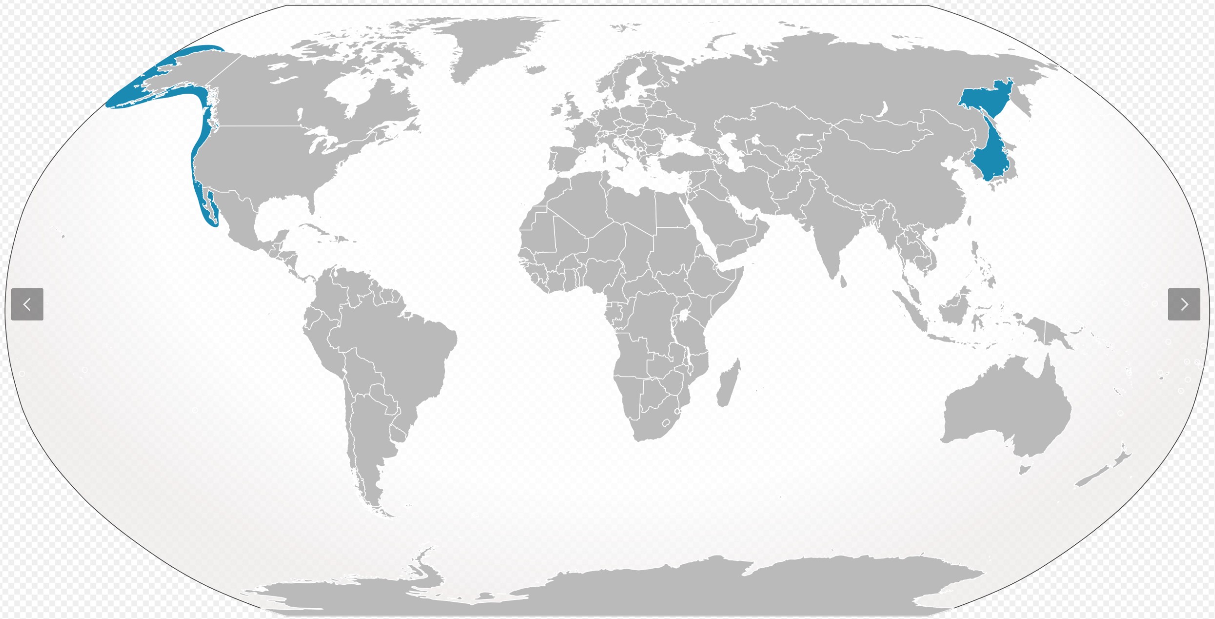 Range Map for Gray Whale