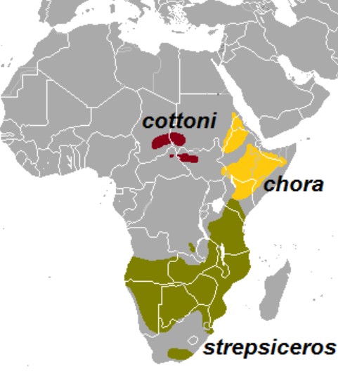 Range Map for Greater Kudu