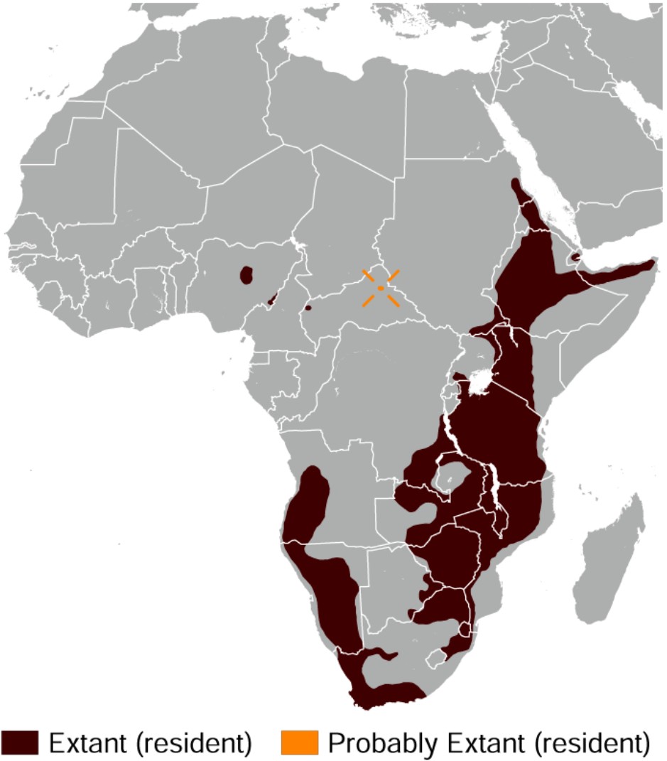 Range Map for Klipspringer
