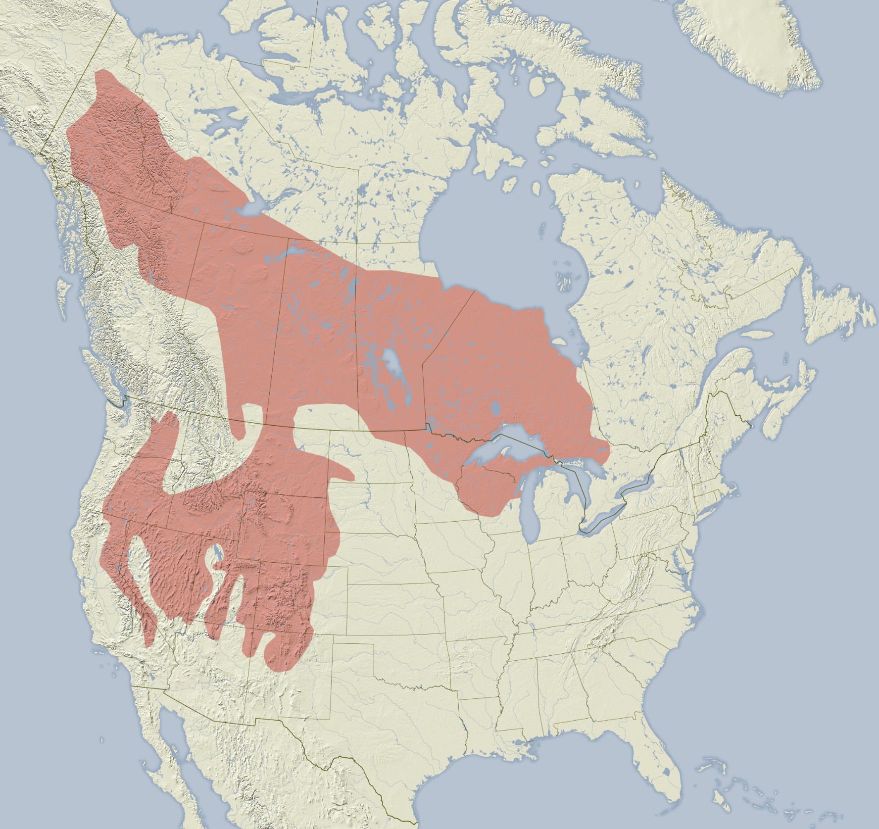 Range Map for Least Chipmunk