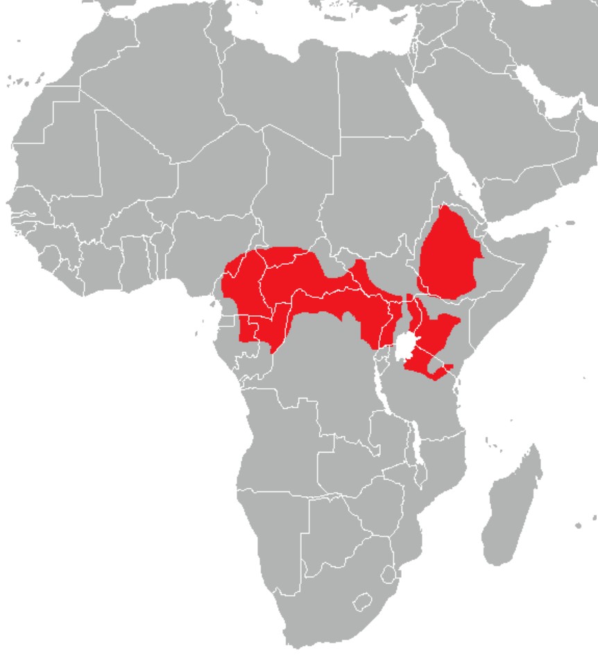 Range Map for Mantled Guereza