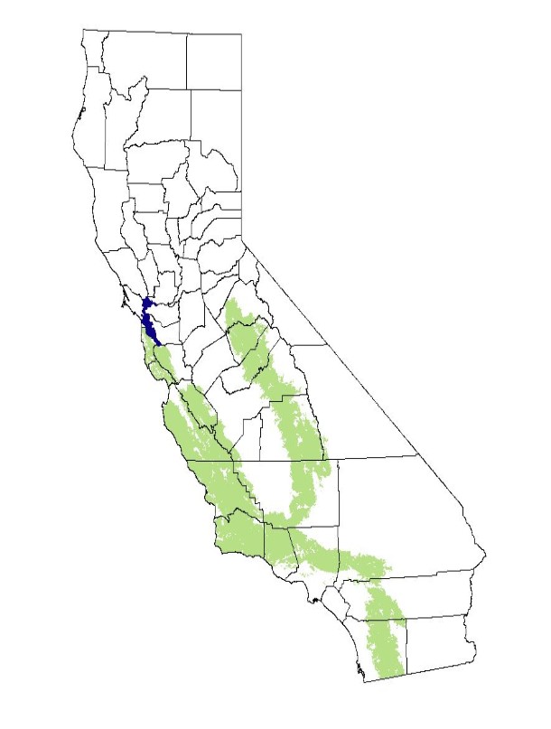 Range Map for Merriam’s Chipmunk