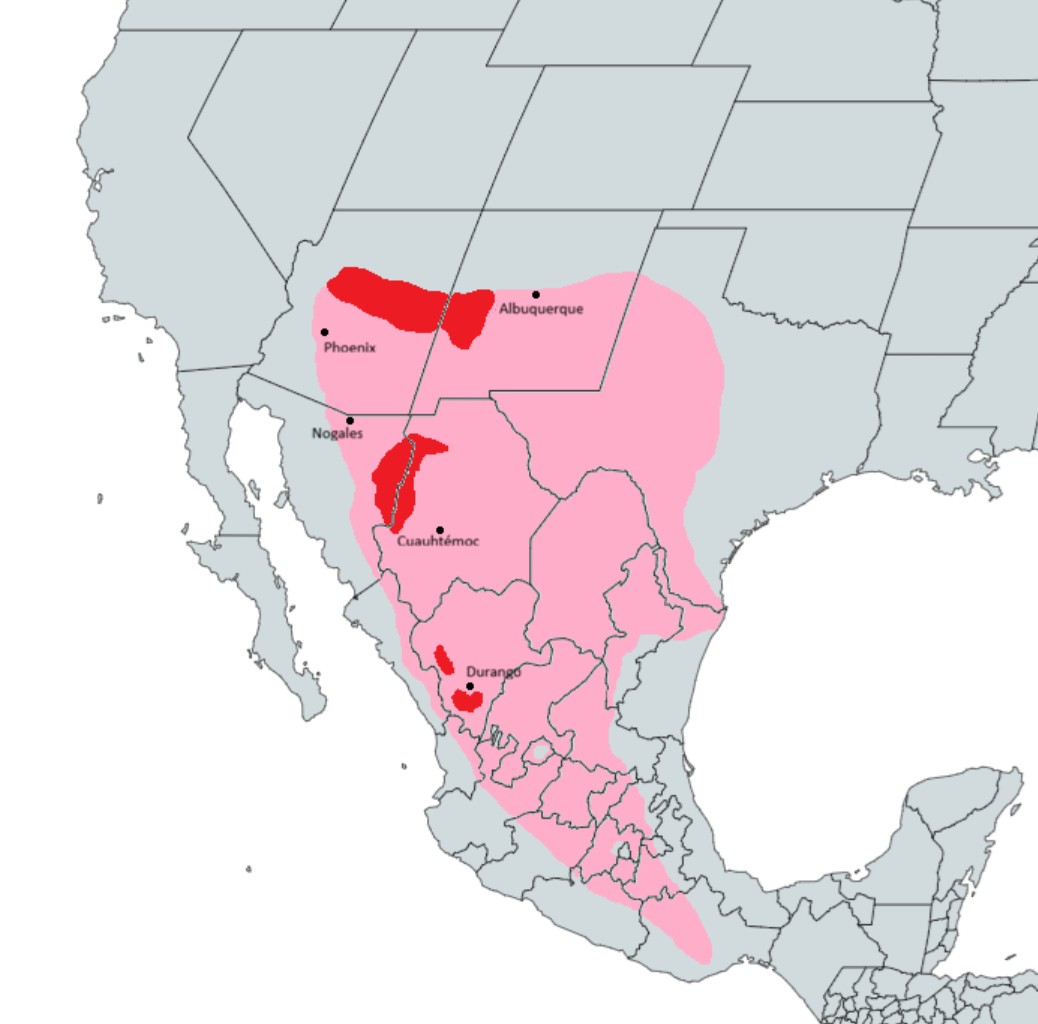 Range Map for Mexican Gray Wolf