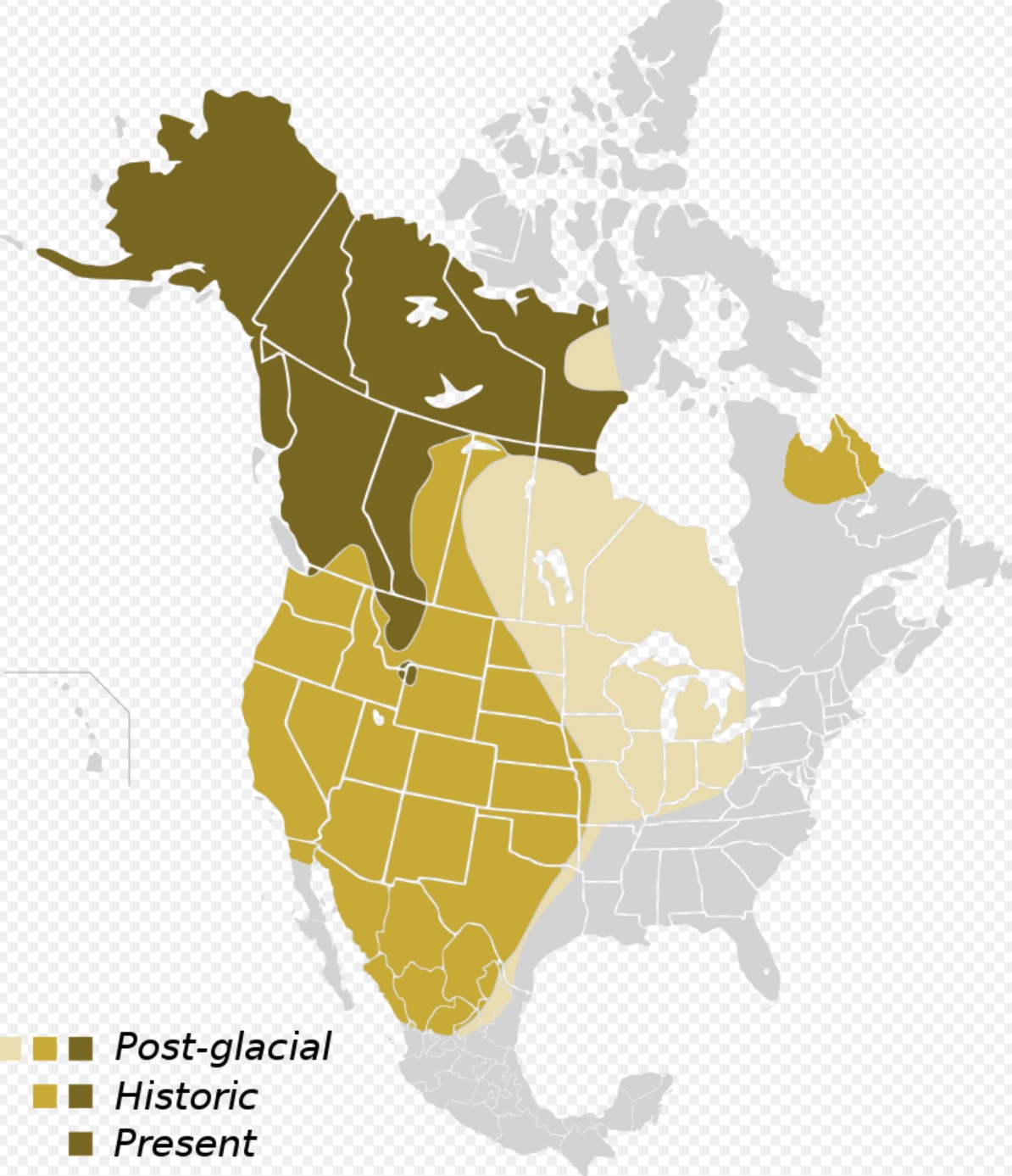 Range Map for North American Brown Bear