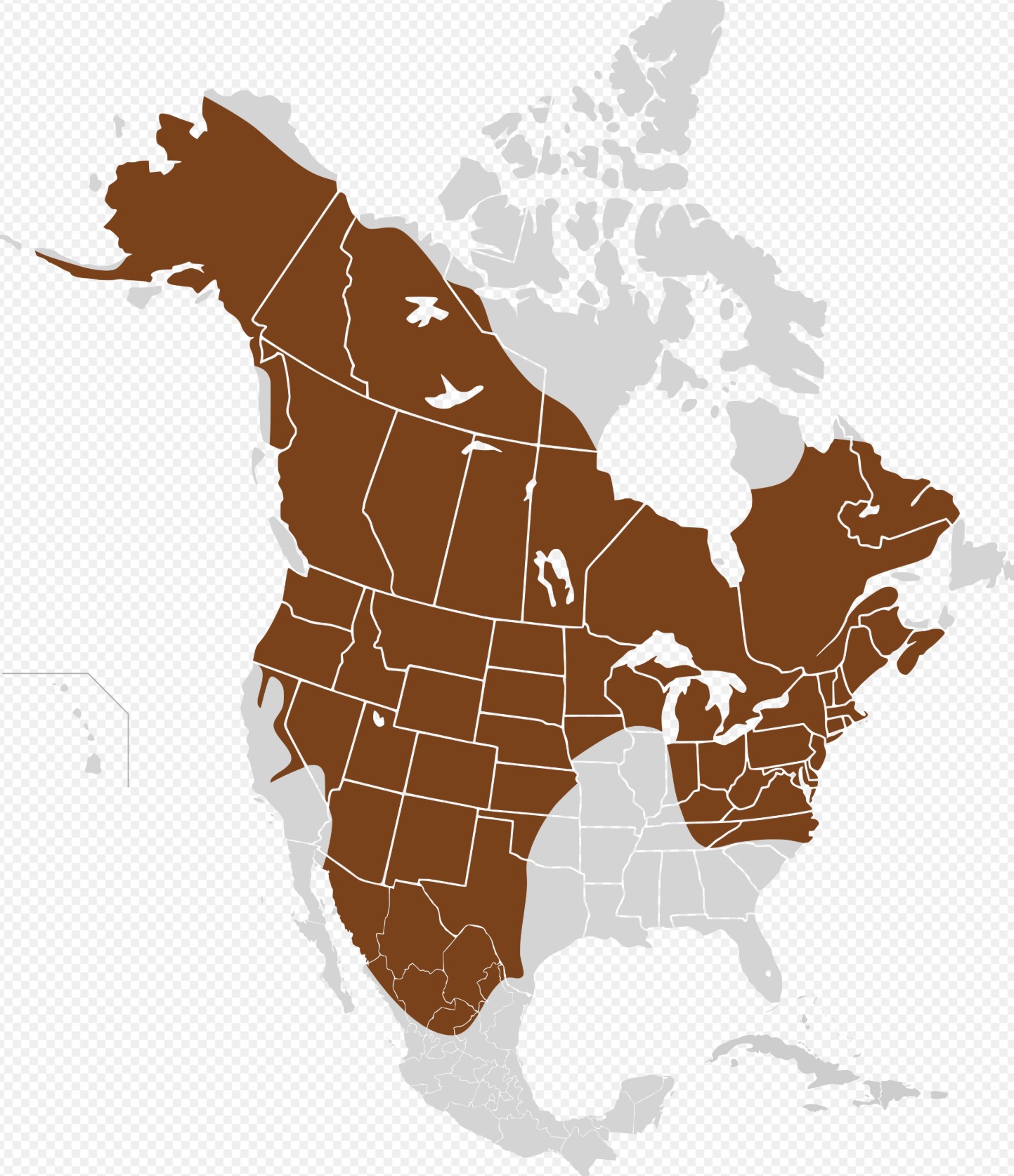Range Map for North American Porcupine