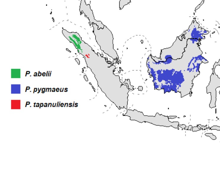 Range Map for Orangutan