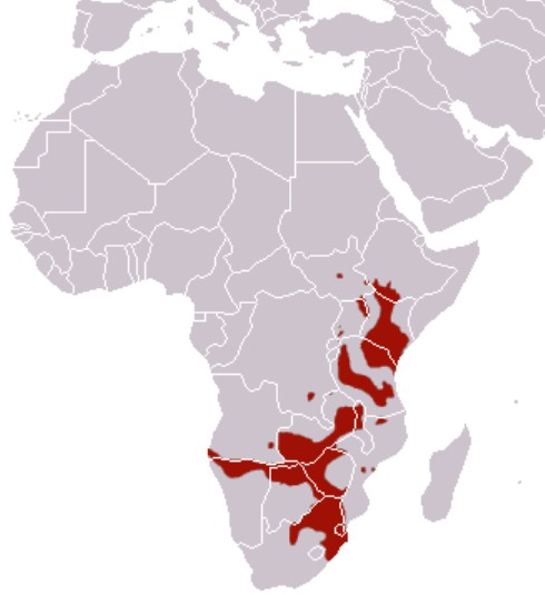 Range Map for Plains Zebra